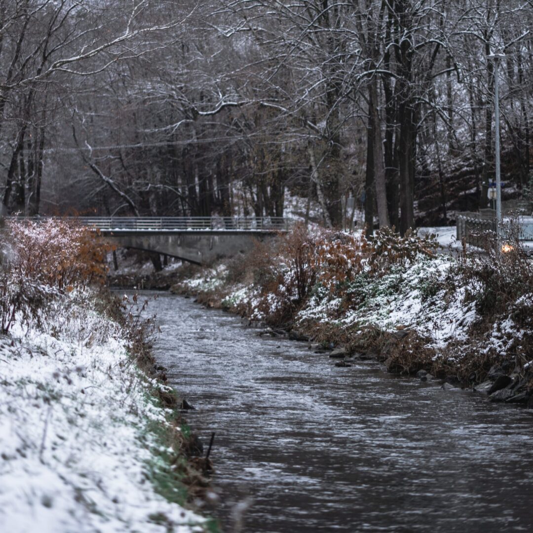 Złoty Potok zimą - Osada Chmielaki, Pokrzywna, Góry Opawskie